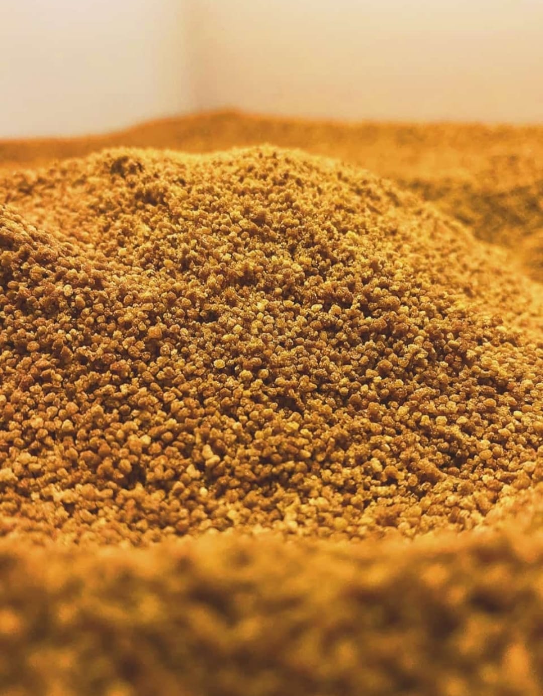 Gula Kelapa