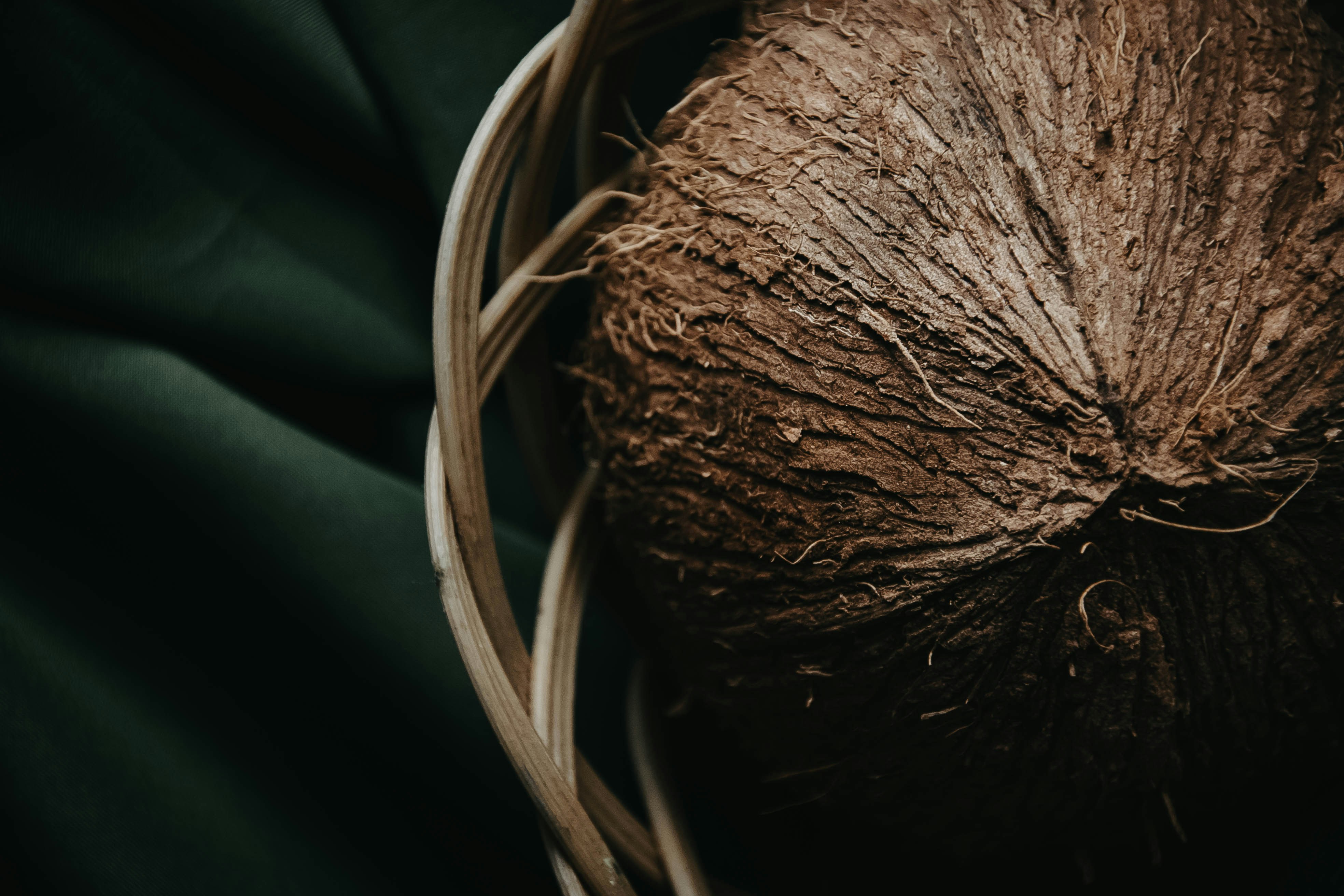 Solusi Lengkap Produk Turunan Kelapa