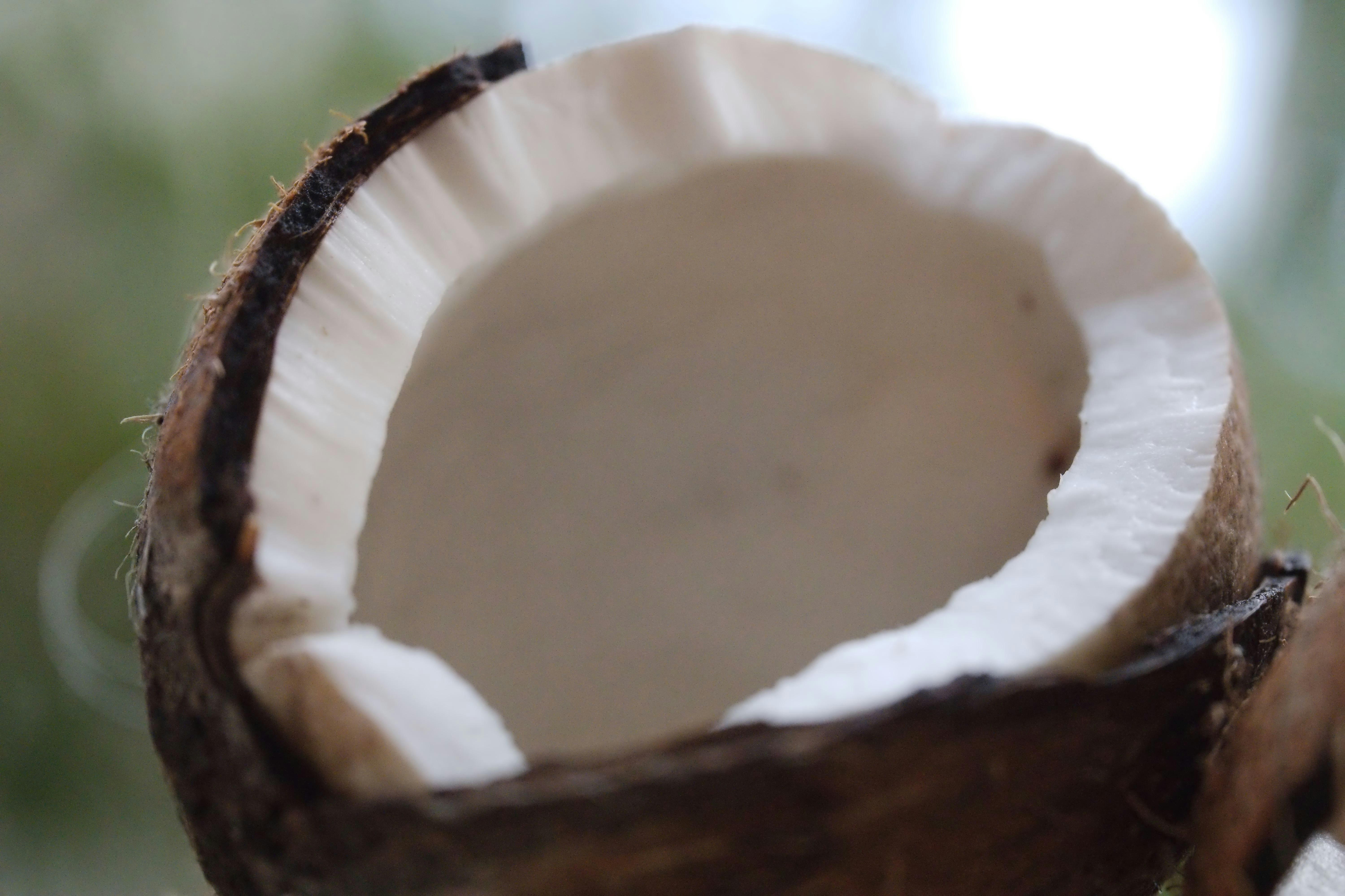 Kelapa Tua Kupas